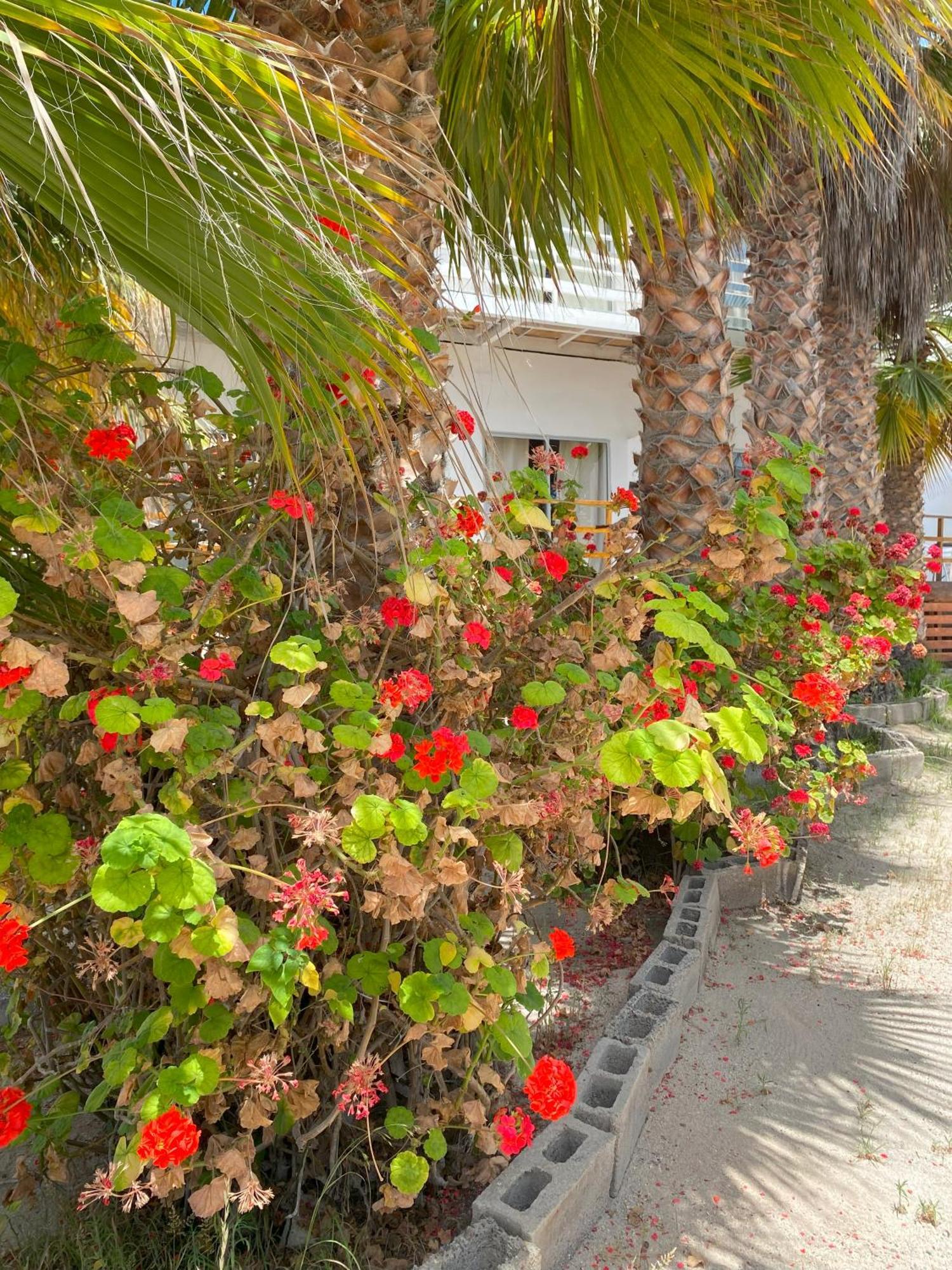 Hotel & Cabanas El Mirador Кальдера Екстер'єр фото