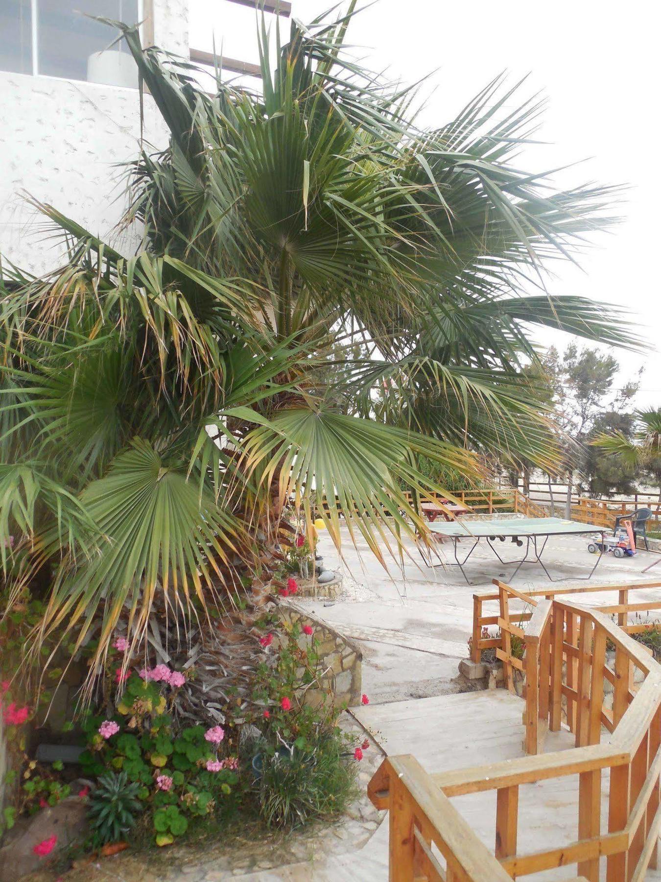 Hotel & Cabanas El Mirador Кальдера Екстер'єр фото